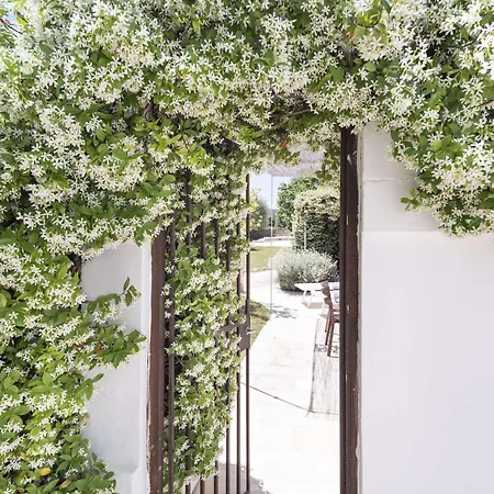Masseria Alchimia * Fasano